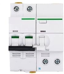 LUJIAYA Disjoncteur Bipolaire de Type C IC65N avec Protection Contre Les fuites(2A)