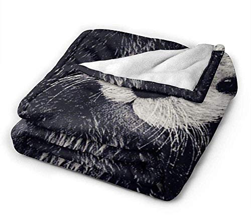 YuLiZP Decke Wohn Kuscheldecken,Flauschige Decke Ganzjährig Leicht Und Weich Bequeme Wohnkultur Decke Bett Sofa Stuhl Sofa Geeignet Für Erwachsene Und Kinder Schwarzer Otter 50x40 inch