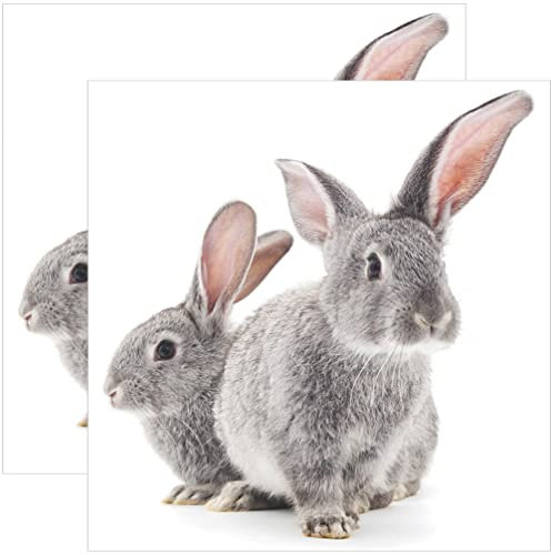 Warmhm 2blätter Kaninchen-wandaufkleber Mit Hasenmotiv Selbstklebend Für Kinderzimmer Und Wohnzimmer Osterdekoration Pvc-material Abziehbar Rückstandsfrei