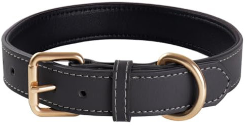 Echtes Leder gepolstertes Hundehalsband Bequemes, Starkes, weiches Halsband für kleine, mittelgroße und große Rassenhunde(Grau)(S)