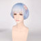 Uearlid Wig Anime Cosplay Perücke for Zero-Starting Life In Another World Ram Rem Cosplay Perücke Farbe: PL-612-2 Rem