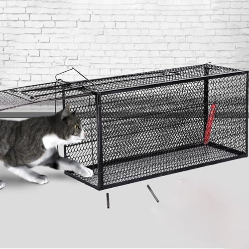Katzenfalle, Lebendtierfalle, Käfig, Doppelschichtiger, Robuster Stahl, Großer, Humaner Katzenkäfig for Kleine Streunende Katzen, Waschbären Und Eichhörnchen(50 * 18 * 18CM)