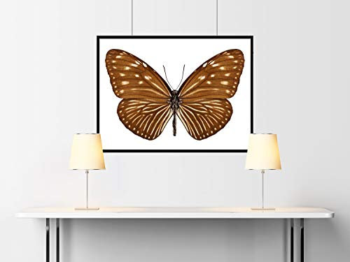 Gleiswechsel H0/H0E Li./Re.