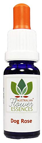 Dog Rose Australian Flower Essences Love Remedies