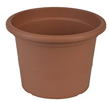 Campanula Blumentopf, 20 cm Durchmesser Ø 23 Cm terrakotta
