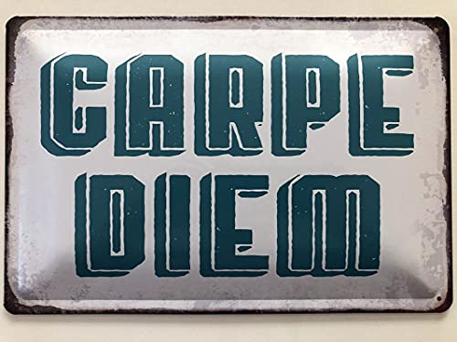 Metall Schild 20x30cm Carpe Diem Spruch Sprüche Blechschild