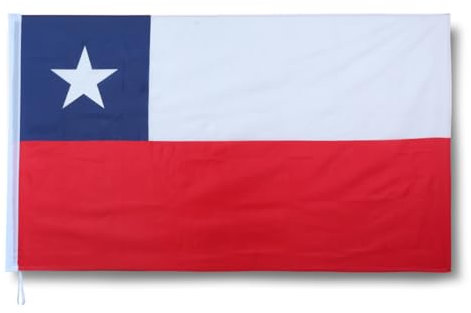 Sonia Originelli premium Fahne für jede Gelegenheit - hissfertig & wetterfest -Größe: ca. 90 x 150 cm, Farbe: Chile