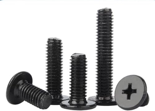 Lot de 100 vis à tête plate cruciforme H M2 x 10 mm Vis à tête crêpe en acier inoxydable Noir galvanisé