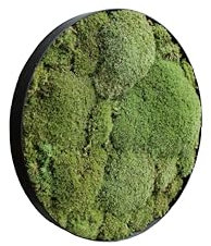 Rundes Bild aus konserviertem Kugelmoos - Moosbild in unterschiedlichen Farben (Schwarz, 40cm)