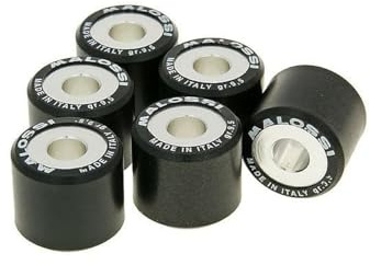 variomatik Poids MALOSSI HT 20 x 17 mm | Éléments autolubrifiants; rouleaux résistants au format vingt par dix-sept, masse neuf virgule cinquante pour calibrage fin