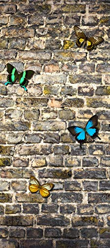 Fototapete FTNv2905 Photomurals Schmetterling