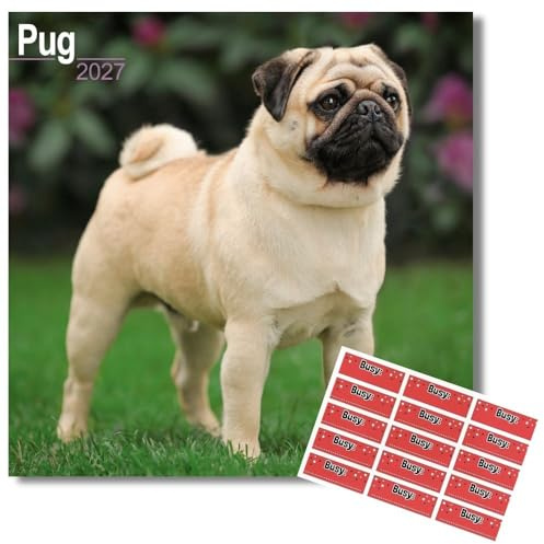 Mops-Kalender 2026 | Eckiger Hunderasse Wandkalender | 16 Monate | mit Organisationsaufklebern