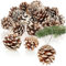 com-four® 30x Anhänger Tannenzapfen mit weißen Spitzen - Pinienzapfen als Weihnachtsdekoration - Zapfen Deko zum Anhängen - Bastel Set - Weihnachtsschmuck (30 Zapfen - weiße Spitzen)