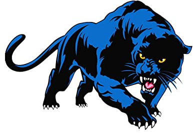 Panther Asudaro Autoaufkleber – dekorativer schwarzer Panther-Tier-Aufkleber 3D-Aufkleber mit Leoparden-Muster aus Vinyl