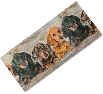 Tex family Tappeto Cucina Runner Cuccioli Bassotti – Passatoia Cucina Antiscivolo Lavabile PVC 6 mm – Made in Italy - Cm. 50x500