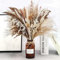 Natürliche Pampasgras Deko 65 Stück DIY Trockenblumen für Pampasgras Getrocknet Strauss, Ideal for Boho Wohnzimmer-Schlafzimmer-und Vasen Deko (65 Stück-A)