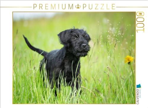 CALVENDO Puzzle EIN Motiv aus dem Kalender Riesenschnauzer... charakterstarke Hunde | 1000 Teile Lege-Größe 64 x 48 cm Foto-Puzzle für glückliche Stunden