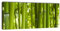 wandmotiv24 Leinwandbild Panorama Nr. 57 Bambusdikicht 100x40cm, Keilrahmenbild, Bild auf Leinwand, Kunstdruck Bambus Wald Asia