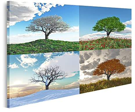 islandburner Tableau sur toile Arbre solitaire en accéléré quatre saisons Cadre Affiche Poster Murale Tableaux