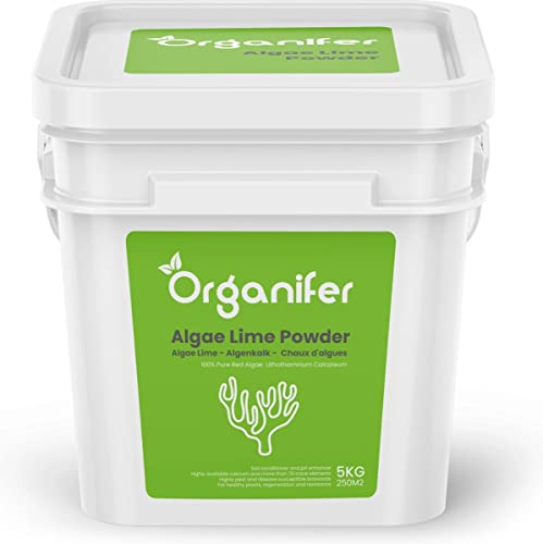 Polvo De Algas De Cal - 5 Kg - Lithothamnum Calcareum Puro - Perfecto Para Boj Y Cuidado Del Jardín - Contiene Calcio Y Magnesio - Organifer