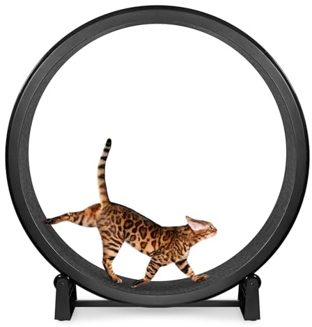 One Fast Cat - Cat Exercise Wheel - Gen. 7 - Safe 48 Diameter - Made in The USA - Black Wheel with Black Felt Traction Pads and Solid Inline Wheels