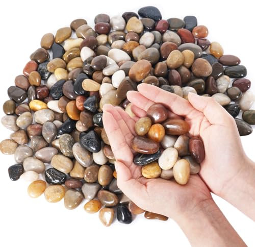 GreatBuddy 1,1 kg Flusssteine, dekorative Steine für Zimmerpflanzen, natürliche polierte Kieselsteine für Aquarium, Vasen, Topfpflanzen, Gartenlandschaftsbau im Freien, gemischte Farben