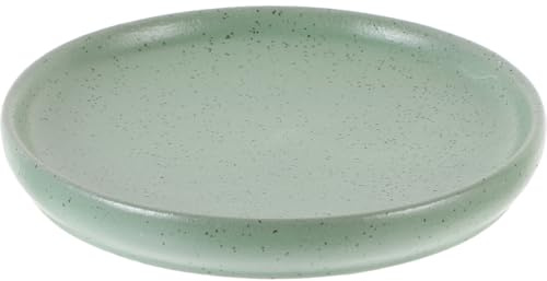 DECHOUS Dinner Plate 12cm Vintage Ceramic Round Dish Serving Microwavable Dishwashable Round Plate for Desserts, Steaks, Salads, Pizza, Kitchen, Restaurant