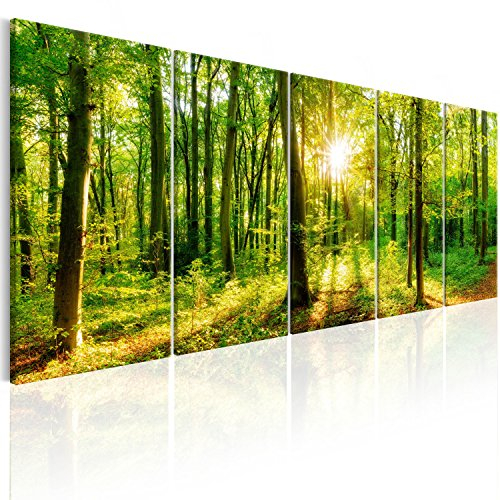 B&D XXL - Akustikbild Wald 150x60 cm 5 tlg Leinwand Bilder Akustikschaum Schallschutz Akustikpaneele Wandpaneele Schalldämmung Schallabsorber Akustikplatten Waldlandschaft Natur Baum c-B-0184-b-m