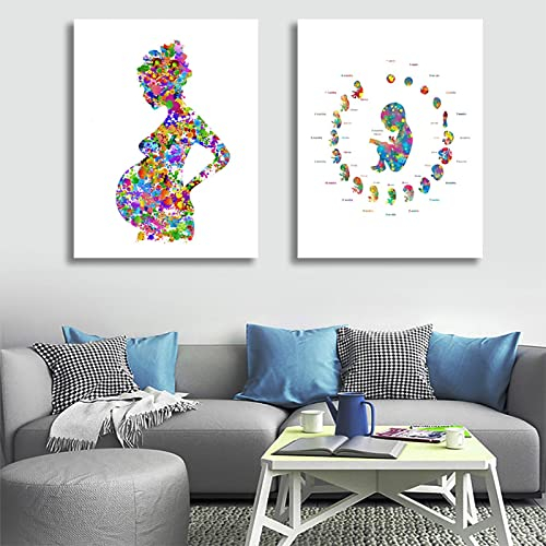 Développement Embryonnaire Femme Enceinte Aquarelle Affiche Maman Bébé Toile Peinture et Impressions Mur Art Photo Décor 19.6x 27.5(50x70cm)x2 Sans Cadre