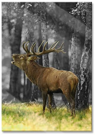 Pixxprint Glasbild, Wandbild aus Echtglas, röhrender Hirsch im Wald schwarz/weiß, 40x60 cm, inkl. Aufhängung und Abstandshalter