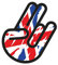 easydruck24de 1 Sticker Shocker Hand England GB I kfz087 I 10 x 7 cm groß I Motorrad Roller Notebook Laptop Auto-Aufkleber Fahrzeug-Aufkleber wetterfest