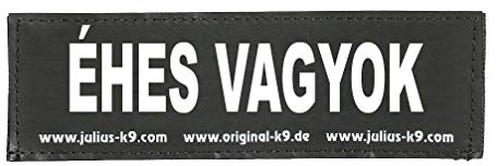 Julius-K9 Interchangeable Hook & Loop Patches, 1 pair, ÉHES VAGYOK, Size: Large, Black