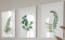 Eviepops Prints Large Green Ferns Wall Art Set of 3 Unframed Prints, Abstract Tropical Plant Decor, Living Room Bedroom Bathroom Poster Home Decor, Green Leaves Plant (A4)
