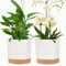 ADA 25cm Plastic Plant Pots, Pack of 2 Flower Pots, house Plant Pots with Drainage Holes and Removable Base,Saucer Modern Decorative for Outdoor Garden Planters (White)