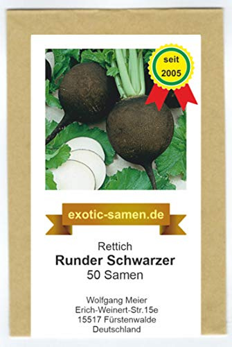 Rettich - Runder Schwarzer (50 Samen)