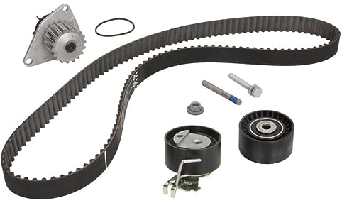 INA 530 0419 30 Pumpe Wasser und Kit Zahnriemensatz