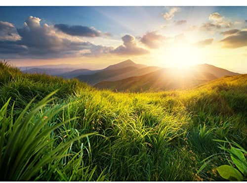 Runa Art Papel tapiz fotográfico 396 x 280 cm Hierba de montaña | Lana Decoración De Pared Sala Cuarto | Fabricación alemana | Azul Amarillo Verde 9103012a