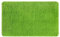 PANA® Hochflor Badematte (50x80 cm) • Weicher Badteppich aus Mikrofasern • rutschfest & waschbar • Badvorleger, Duschvorleger, Badematte, Badezimmerteppich • Farbe: Grün