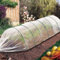 LoviStore Serra da Orto a Tunnel 300x120cm, Struttura Protettiva per Piante, Copertura, Orto Coperto, Greenhouse per la Protezione di Ortaggi, Semine, Raccolti, Montaggio Rapido