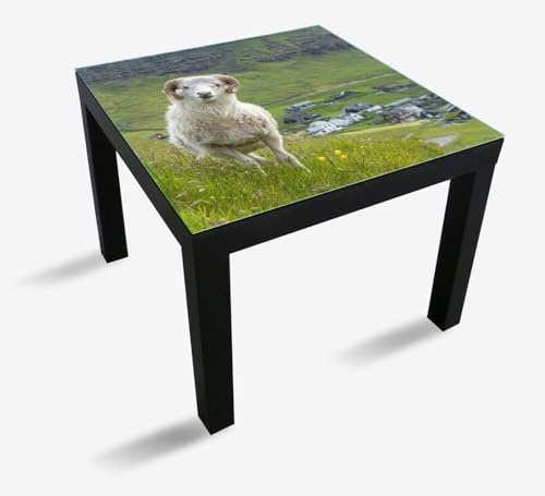 Wallario Glasplatte, Schutzplatte 55 x 55 cm - geeignet für IKEA Lack Tisch, für Beistelltisch/Couchtisch, Wildes Schaf in der Natur