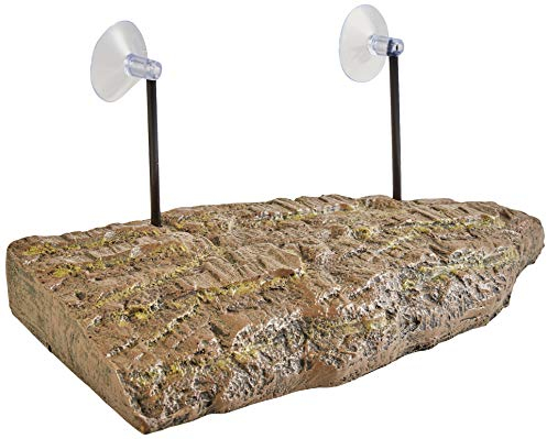 Reptiles Planet Habitat-Dekoration Turtle Island L