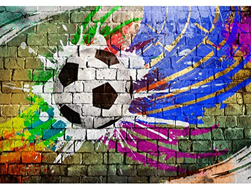 Runa Art Photo Wallpaper Football Stone Wall 352 x 250 cm Non-Woven Wall Art XXL Moderne Living Room Bedroom Colorful 9021011c