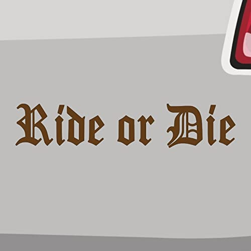 Ride or Die Aufkleber -6 Größen 21 Farben- MTB Downhill BMX Sticker Enduro Bike