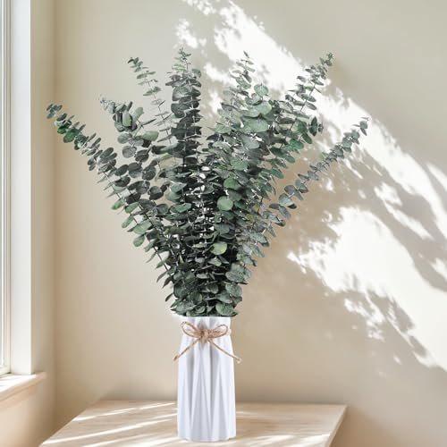 Probuk Eucalipto Preservado y Ramas Secas Decorativas - Bouquet de Pampas 10Pcs para Decoración del Hogar
