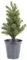 Weihnachtsbaum künstlich im Topf mit 50 LED - 55 cm - Tannenbaum beleuchtet Christbaum mit Timer Außen
