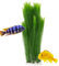 Mascot Pets Life Like Grande Plante Artificielle en Plastique Vert 40 cm pour Aquarium Décoration de Verdure Aquatique Herbe Plantes cachettes