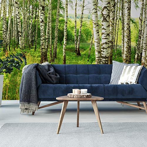 Muralo Vinyl Glatte FOTOTAPETE Wald Bäume Birken Gras Natur Tapete Wandtapeten 90 x 60 Wohnzimmer Schlafzimmer Moderne Wandbilder XXL Wand Dekoration Br.90xHö.60