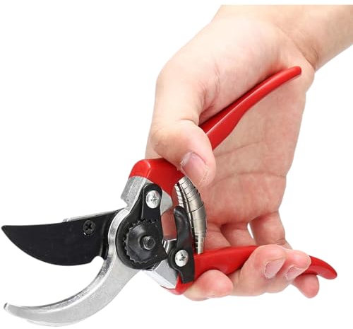 Forbici da Potatura Professionali 210 mm | Cesoie Giardino con Lama Acciaio Affilata | Utensile Potatura Siepi, Fiori, Bonsai, Rami | Impugnatura Ergonomica e Uso Prolungato 33030807-B