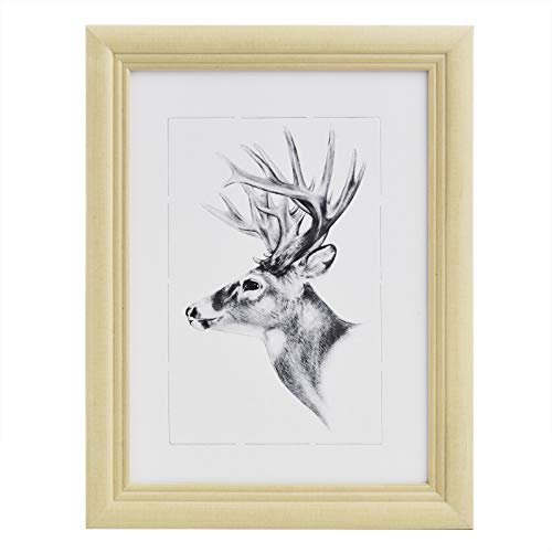 WOLTU Bilderrahmen Fotogalerie, Holz Rahmen, Glasscheibe, Artos Stil (Naturfarbe, 20x30cm), 9431