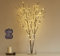 Hairui LED Beleuchtete Zweige mit 100LEDs 80CM Lichterbaum Lichterzweige Braune Künstliche Baumbeleuchtung für Weihnachten Erntedankfest Hausdekoration 2 Stücke (Vase Nicht enthalten)